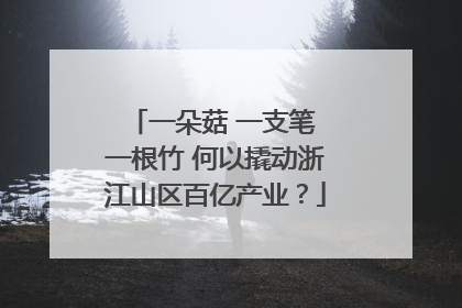 一朵菇 一支笔 一根竹 何以撬动浙江山区百亿产业？