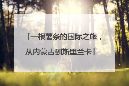 一根薯条的国际之旅，从内蒙古到斯里兰卡