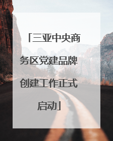 三亚中央商务区党建品牌创建工作正式启动
