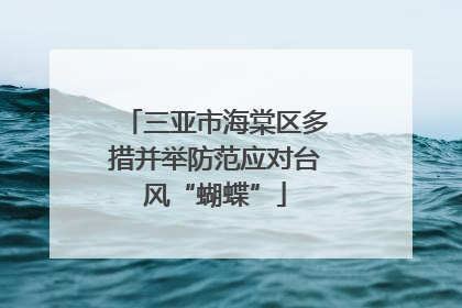 三亚市海棠区多措并举防范应对台风“蝴蝶”