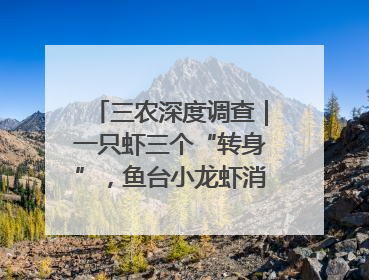 三农深度调查｜一只虾三个“转身”，鱼台小龙虾消费季升级