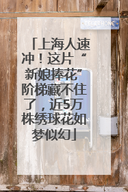 上海人速冲！这片“新娘捧花”阶梯藏不住了，近5万株绣球花如梦似幻