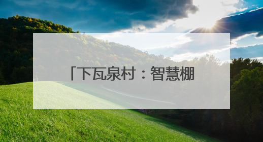 下瓦泉村：智慧棚种出“共富菜”