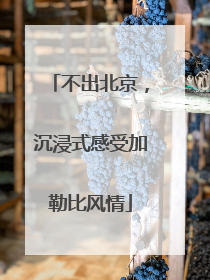 不出北京，沉浸式感受加勒比风情