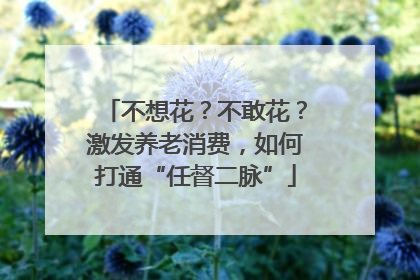 不想花？不敢花？激发养老消费，如何打通“任督二脉”