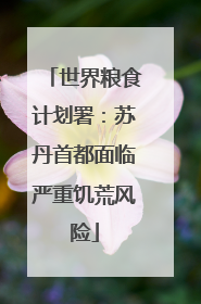 世界粮食计划署：苏丹首都面临严重饥荒风险