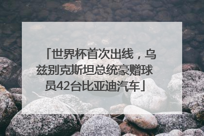 世界杯首次出线，乌兹别克斯坦总统豪赠球员42台比亚迪汽车