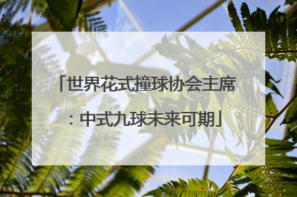 世界花式撞球协会主席：中式九球未来可期