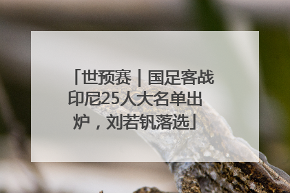 世预赛｜国足客战印尼25人大名单出炉，刘若钒落选