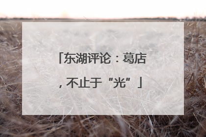 东湖评论：葛店，不止于“光”