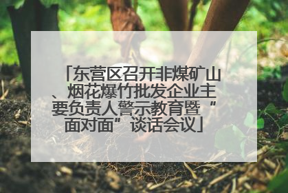 东营区召开非煤矿山、烟花爆竹批发企业主要负责人警示教育暨“面对面”谈话会议