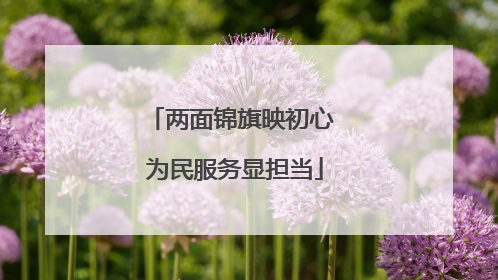 两面锦旗映初心 为民服务显担当