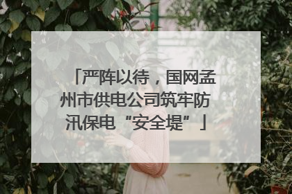 严阵以待，国网孟州市供电公司筑牢防汛保电“安全堤”