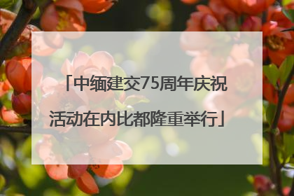 中缅建交75周年庆祝活动在内比都隆重举行