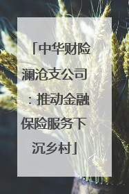 中华财险澜沧支公司：推动金融保险服务下沉乡村
