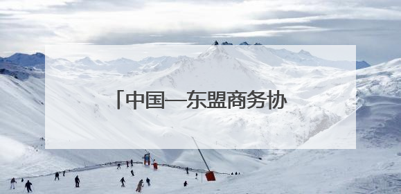 中国—东盟商务协会总会中方秘书处秘书长鹿德晶一行赴滨实地考察对接合作