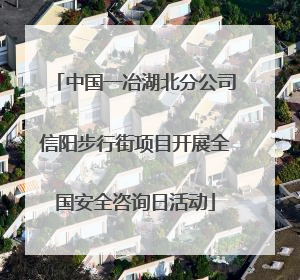 中国一冶湖北分公司信阳步行街项目开展全国安全咨询日活动
