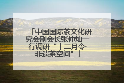 中国国际茶文化研究会副会长张仲灿一行调研“十二月令·非遗茶空间”