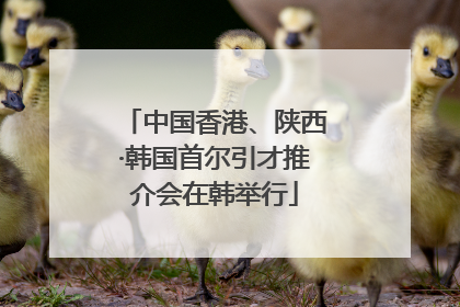 中国香港、陕西·韩国首尔引才推介会在韩举行