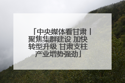 中央媒体看甘肃丨聚焦集群建设 加快转型升级 甘肃支柱产业增势强劲