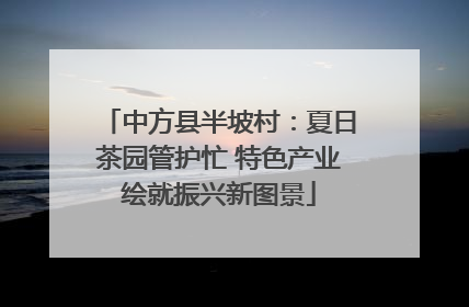 中方县半坡村：夏日茶园管护忙 特色产业绘就振兴新图景