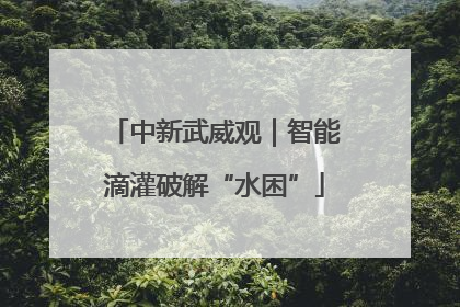 中新武威观｜智能滴灌破解“水困”