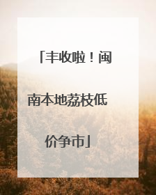 丰收啦！闽南本地荔枝低价争市