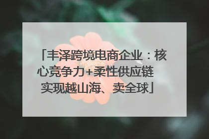 丰泽跨境电商企业：核心竞争力+柔性供应链 实现越山海、卖全球