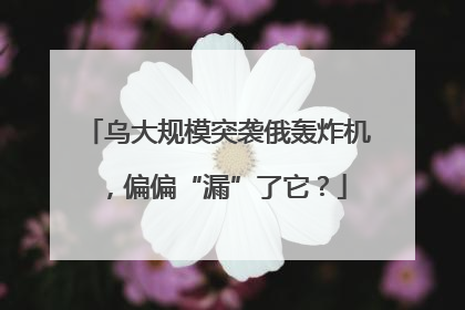 乌大规模突袭俄轰炸机，偏偏“漏”了它？