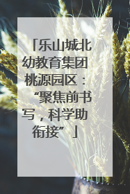 乐山城北幼教育集团桃源园区：“聚焦前书写，科学助衔接”