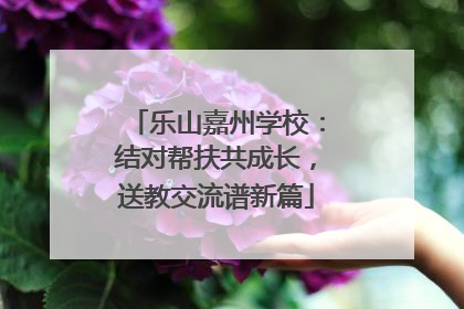 乐山嘉州学校：结对帮扶共成长，送教交流谱新篇