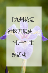 九州花坛社区开展庆“七一”主题活动