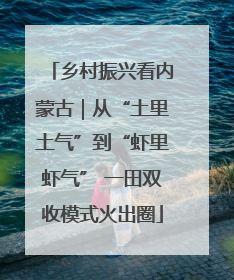 乡村振兴看内蒙古｜从“土里土气”到“虾里虾气” 一田双收模式火出圈