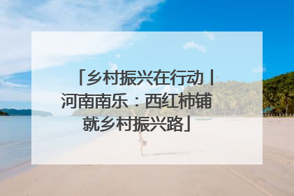 乡村振兴在行动丨河南南乐：西红柿铺就乡村振兴路
