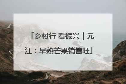 乡村行 看振兴｜元江：早熟芒果销售旺