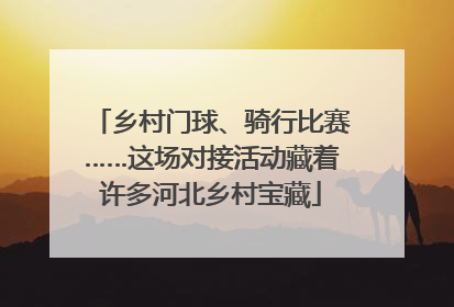 乡村门球、骑行比赛……这场对接活动藏着许多河北乡村宝藏