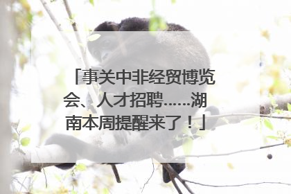 事关中非经贸博览会、人才招聘……湖南本周提醒来了！