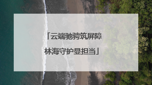 云端驰骋筑屏障 林海守护显担当