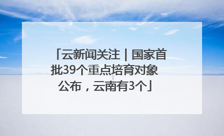 云新闻关注｜国家首批39个重点培育对象公布，云南有3个