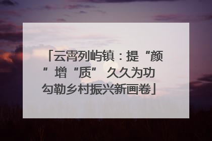 云霄列屿镇：提“颜”增“质” 久久为功勾勒乡村振兴新画卷