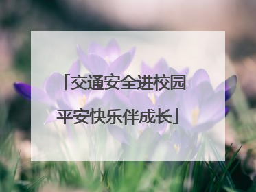 交通安全进校园 平安快乐伴成长