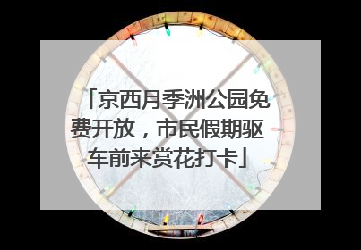 京西月季洲公园免费开放，市民假期驱车前来赏花打卡
