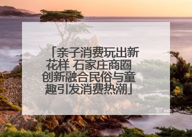 亲子消费玩出新花样 石家庄商圈创新融合民俗与童趣引发消费热潮