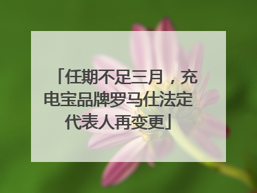 任期不足三月，充电宝品牌罗马仕法定代表人再变更