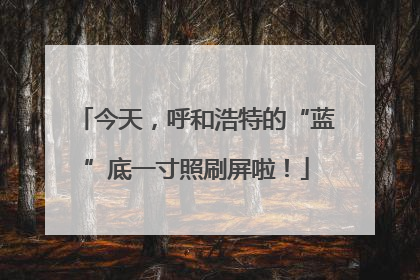 今天，呼和浩特的“蓝”底一寸照刷屏啦！