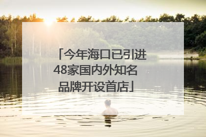 今年海口已引进48家国内外知名品牌开设首店