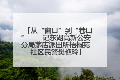 从“窗口”到“巷口”——记东湖高新公安分局茅店派出所梧桐苑社区民警樊艳玲