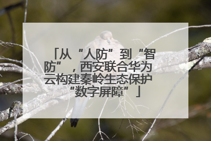 从“人防”到“智防”，西安联合华为云构建秦岭生态保护“数字屏障”