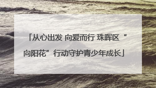 从心出发 向爱而行 珠晖区“向阳花”行动守护青少年成长