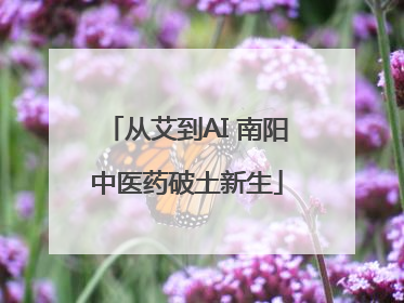从艾到AI 南阳中医药破土新生